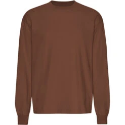 T-shirt Met Oversized Lange Mouwen Colorful Standard Organic Cinnamon Brown