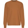 T-shirt Met Oversized Lange Mouwen Colorful Standard Organic Ginger Brown -Moss Kopenhagen-winkel colorful standard cs1003 gingerbrown