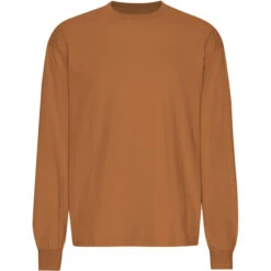 T-shirt Met Oversized Lange Mouwen Colorful Standard Organic Ginger Brown
