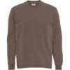 T-shirt Met Lange Mouwen Colorful Standard Organic Oversized Cedar Brown 2 T-shirt Met Lange Mouwen Colorful Standard Organic Oversized Cedar Brown -Moss Kopenhagen-winkel cs1003 cedarbrown